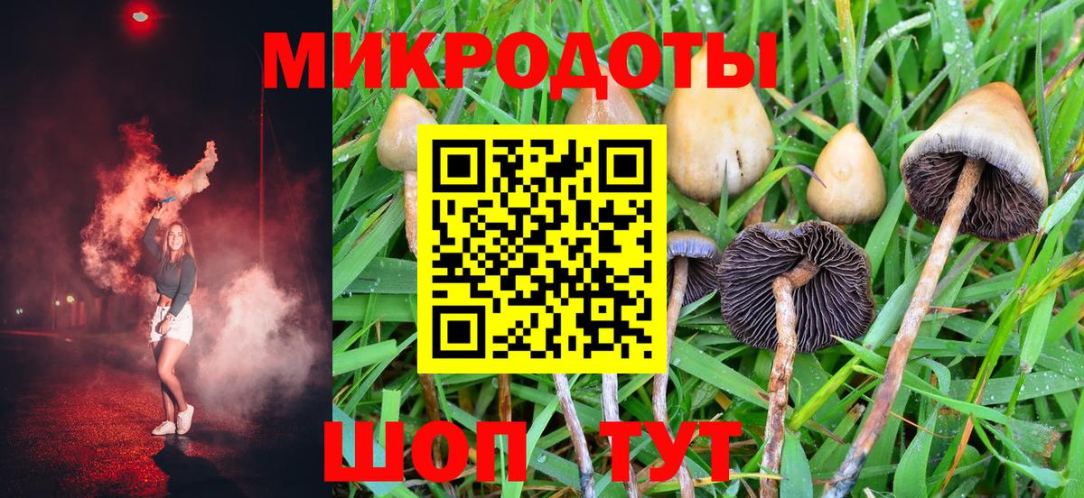 Псилоцибиновые грибы прущие грибы  Вход с VPN  Реж 